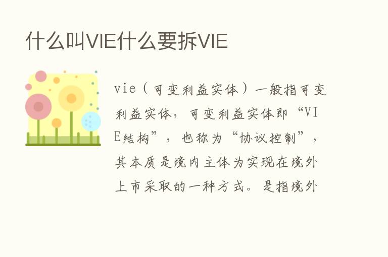 什么叫VIE什么要拆VIE