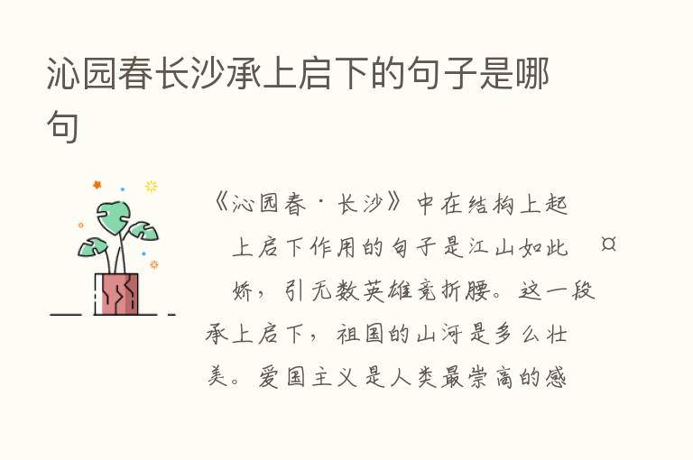 沁园春长沙承上启下的句子是哪句