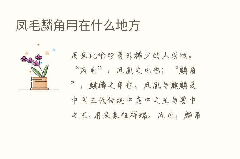 凤毛麟角用在什么地方