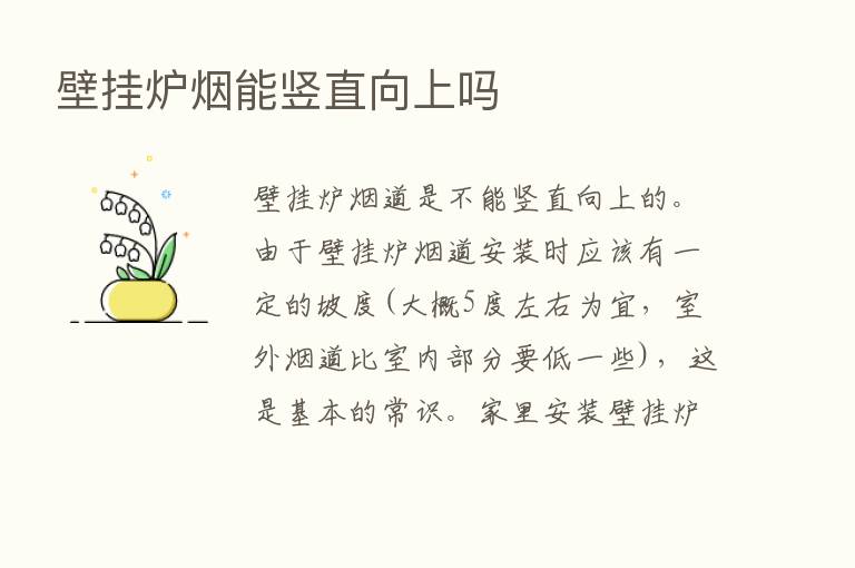 壁挂炉烟能竖直向上吗