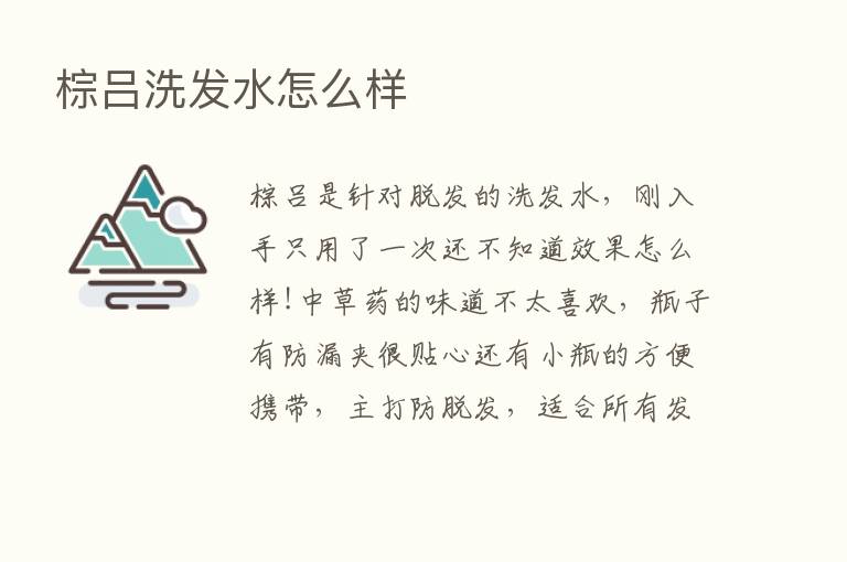 棕吕洗发水怎么样