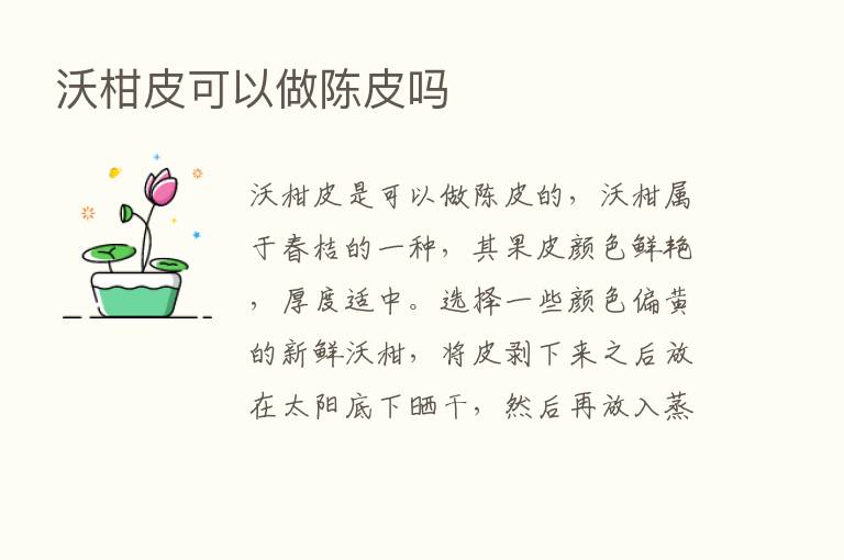 沃柑皮可以做陈皮吗