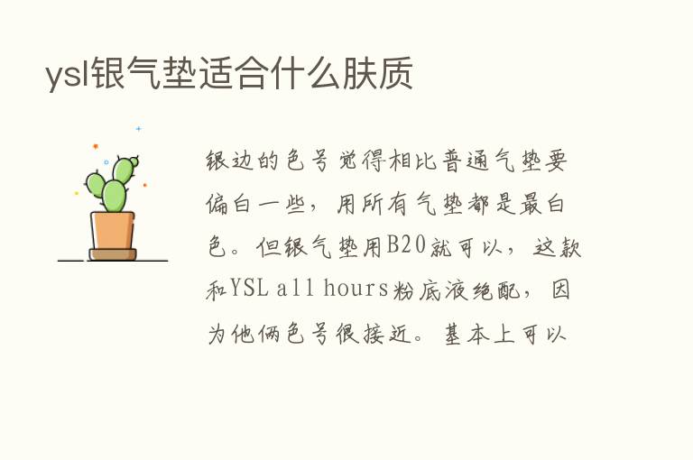 ysl银气垫适合什么肤质