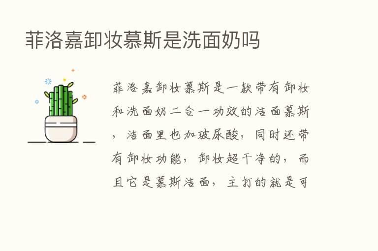 菲洛嘉卸妆慕斯是洗面奶吗