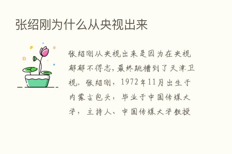 张绍刚为什么从央视出来