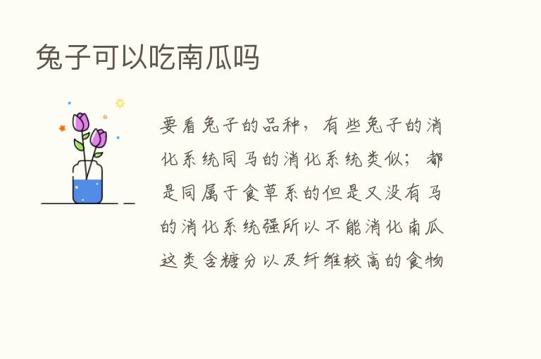 兔子可以吃南瓜吗