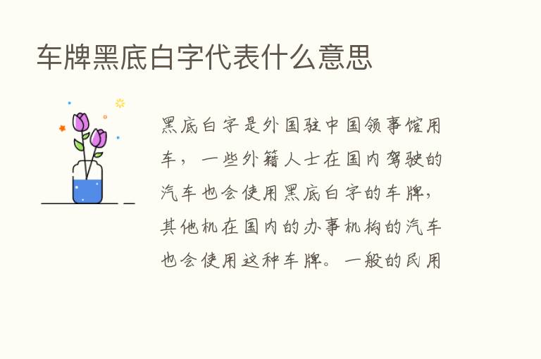 车牌黑底白字代表什么意思