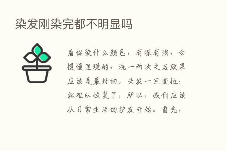 染发刚染完都不明显吗