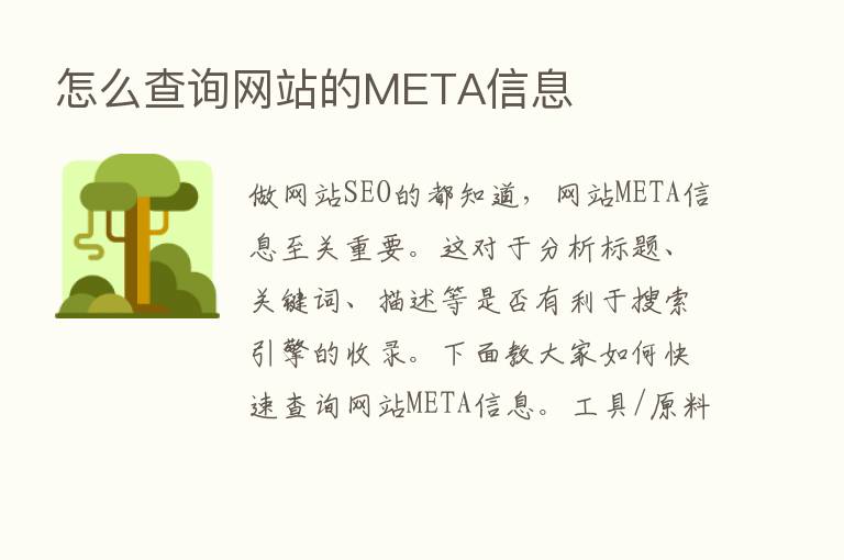 怎么查询网站的META信息