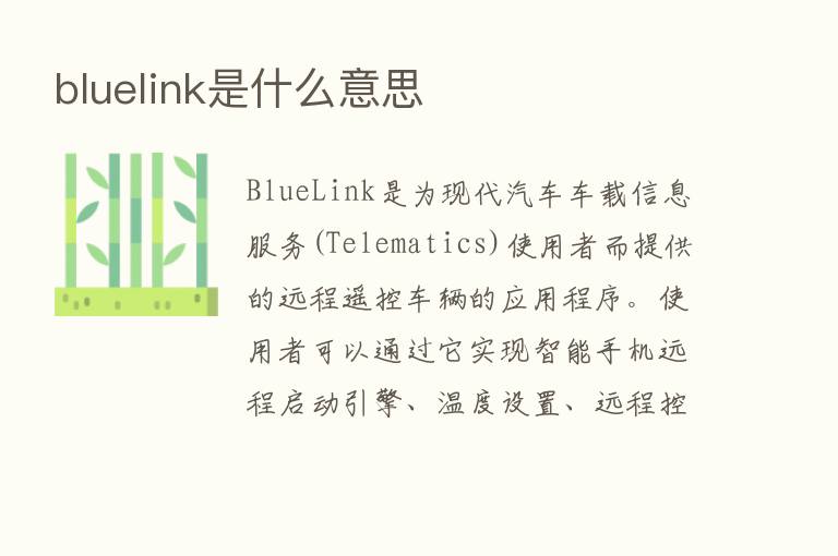 bluelink是什么意思