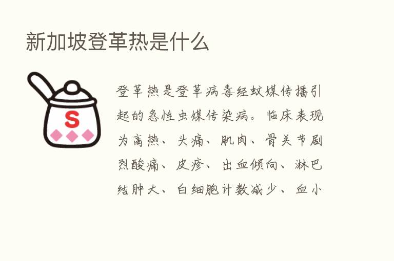 新加坡登革热是什么