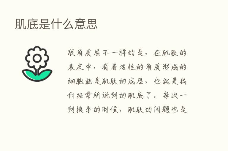 肌底是什么意思