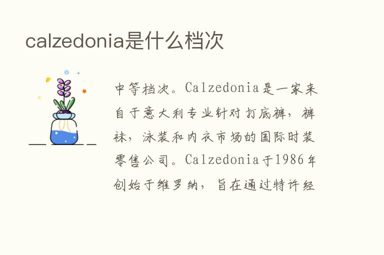 calzedonia是什么档次