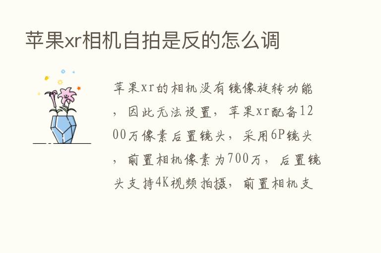 苹果xr相机自拍是反的怎么调