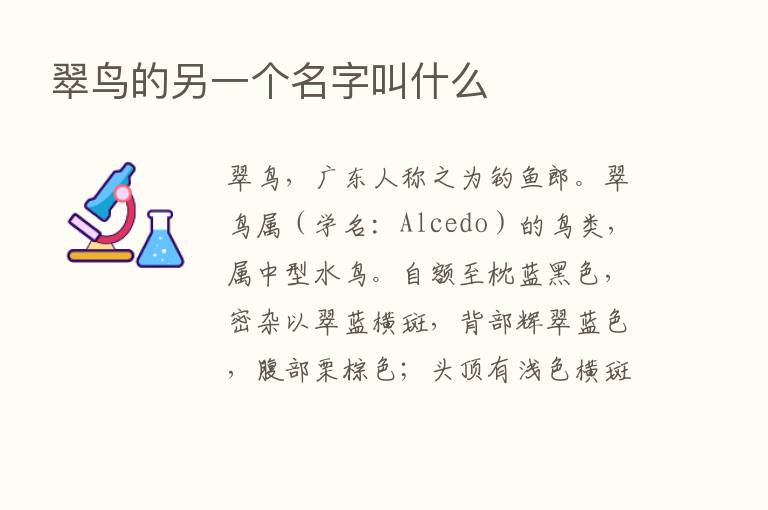 翠鸟的另一个名字叫什么