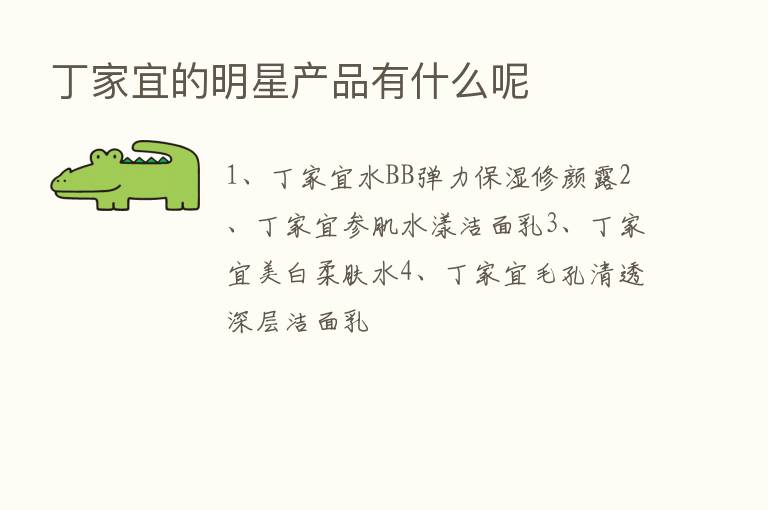 丁家宜的明星产品有什么呢