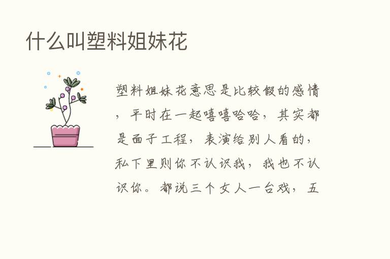 什么叫塑料姐妹花