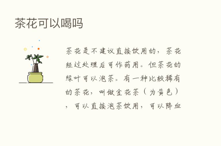 茶花可以喝吗