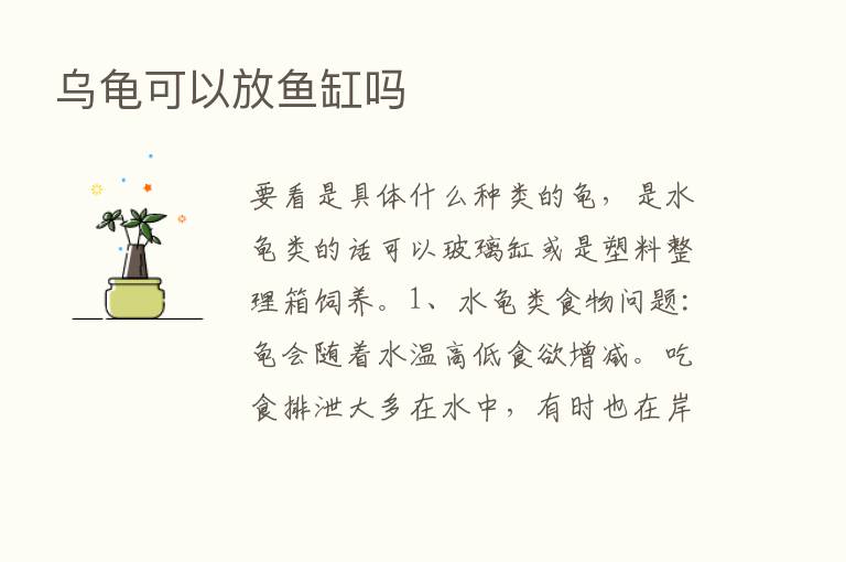 乌龟可以放鱼缸吗