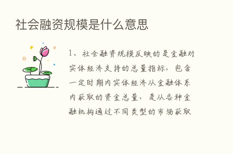 社会融资规模是什么意思