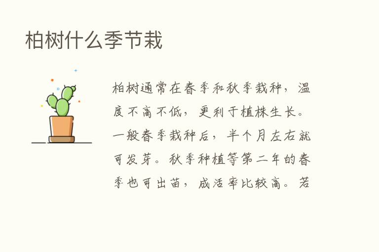 柏树什么季节栽