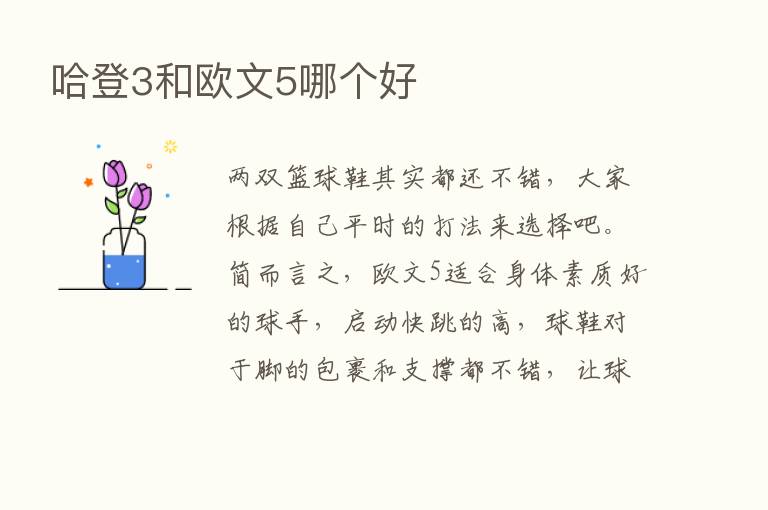 哈登3和欧文5哪个好