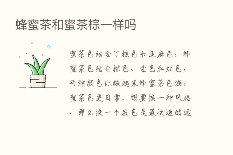 蜂蜜茶和蜜茶棕一样吗