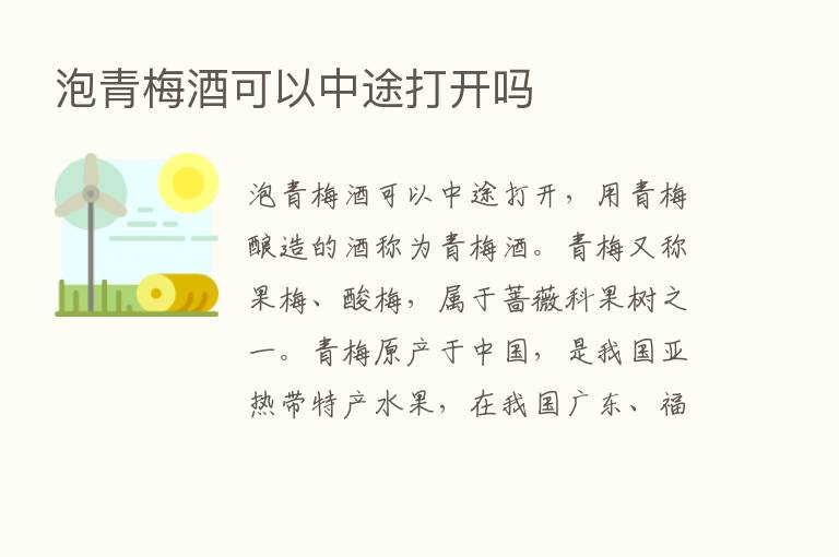 泡青梅酒可以中途打开吗