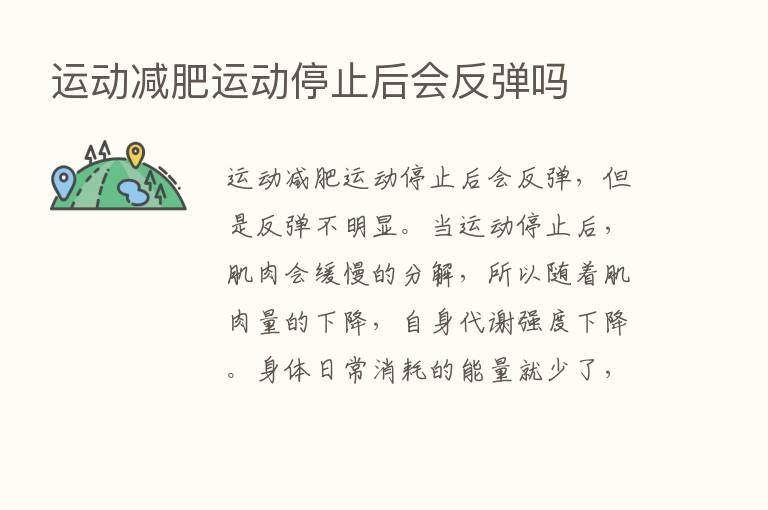 运动减肥运动停止后会反弹吗