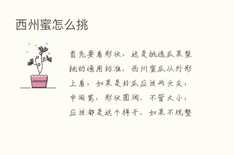 西州蜜怎么挑