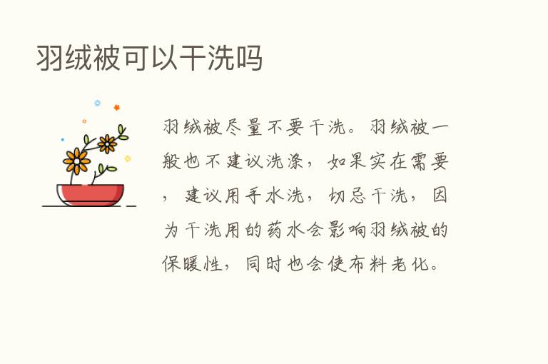 羽绒被可以干洗吗