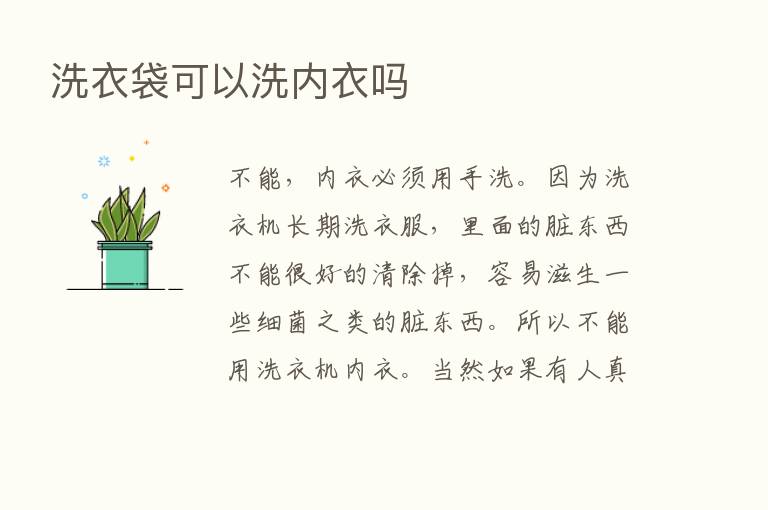 洗衣袋可以洗内衣吗