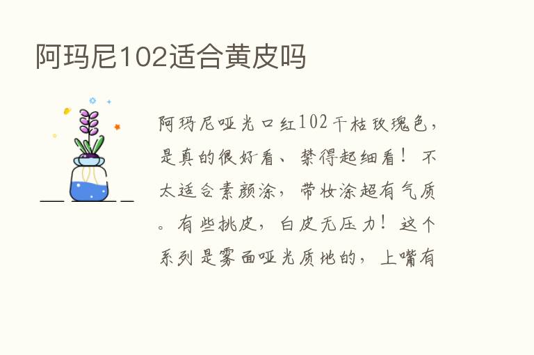 阿玛尼102适合黄皮吗