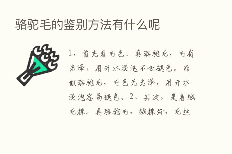 骆驼毛的鉴别方法有什么呢