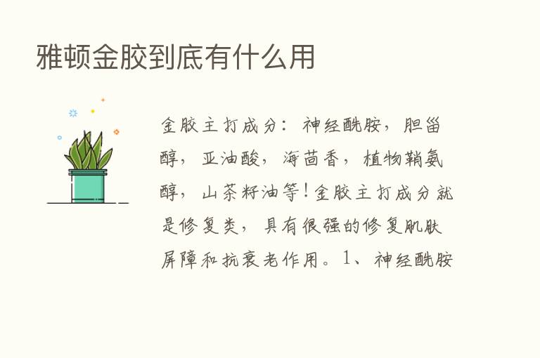 雅顿金胶到底有什么用