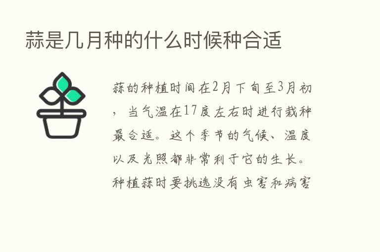 蒜是几月种的什么时候种合适