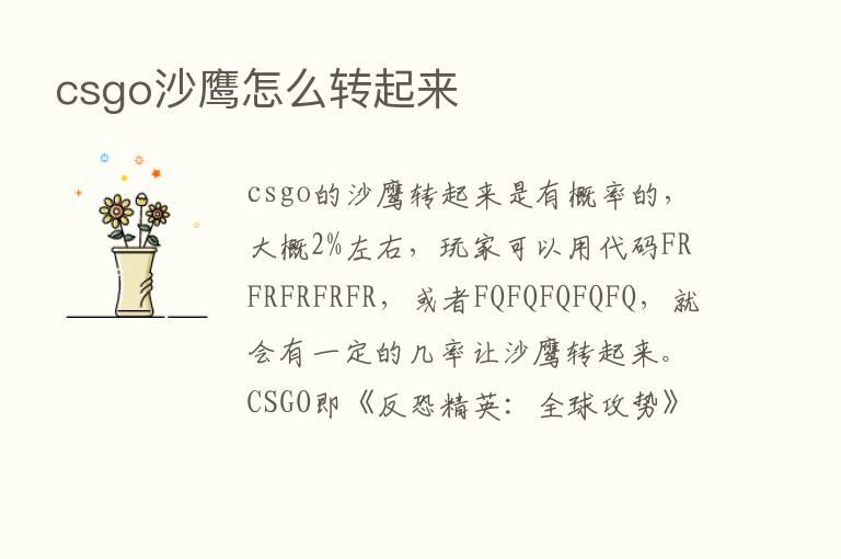 csgo沙鹰怎么转起来