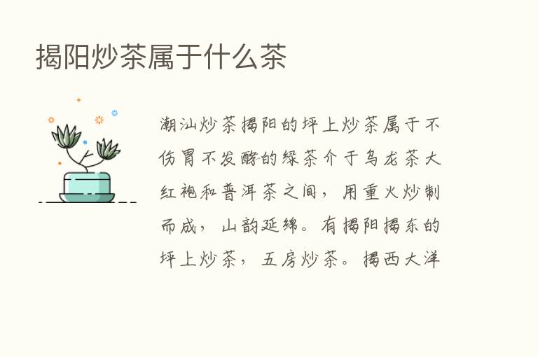 揭阳炒茶属于什么茶