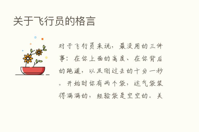 关于飞行员的格言