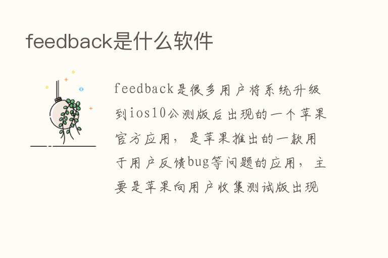 feedback是什么软件