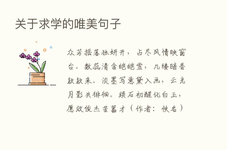 关于求学的唯美句子