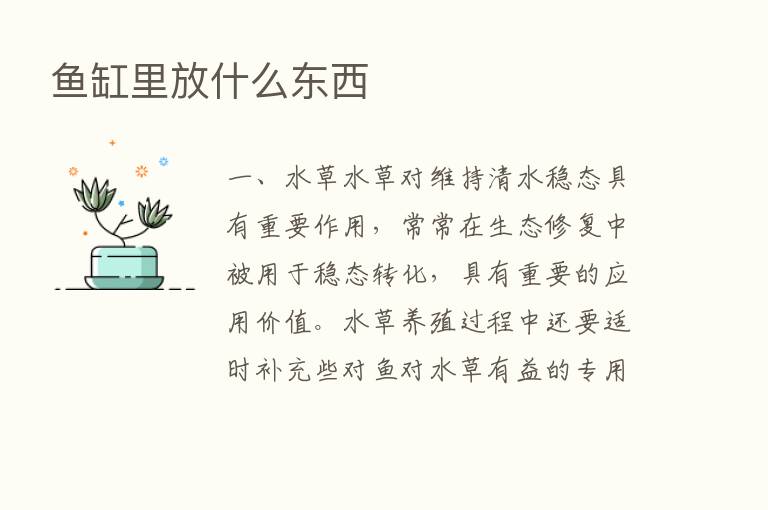 鱼缸里放什么东西