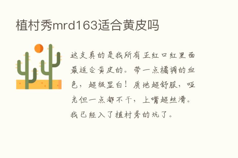 植村秀mrd163适合黄皮吗