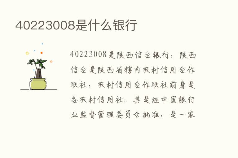 40223008是什么银行