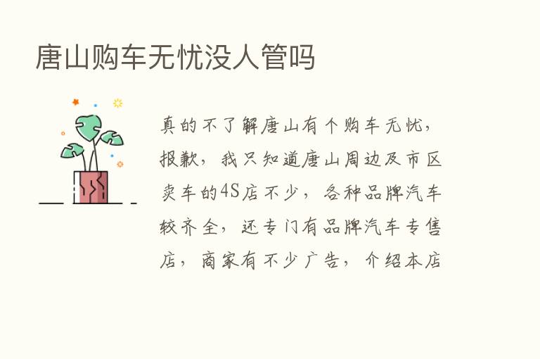 唐山购车无忧没人管吗