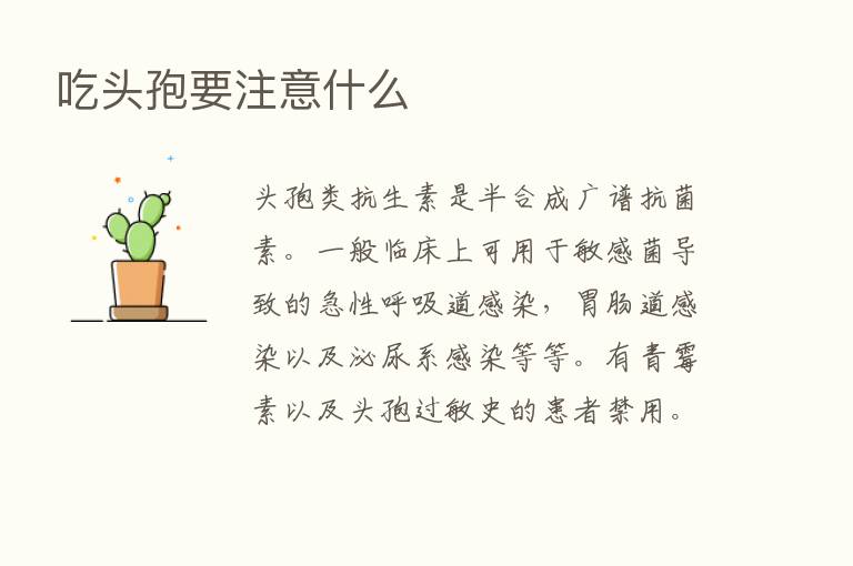 吃头孢要注意什么