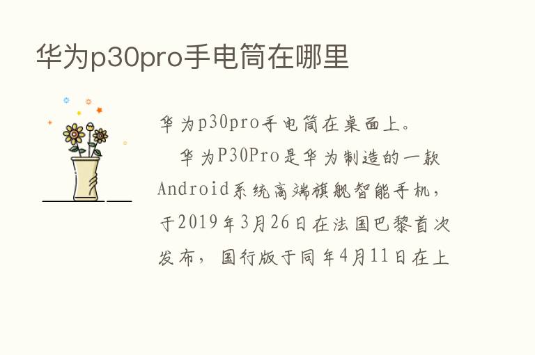 华为p30pro手电筒在哪里