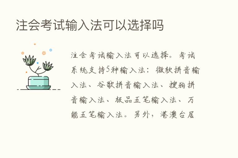 注会考试输入法可以选择吗