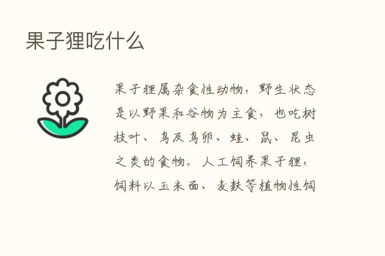 果子狸吃什么