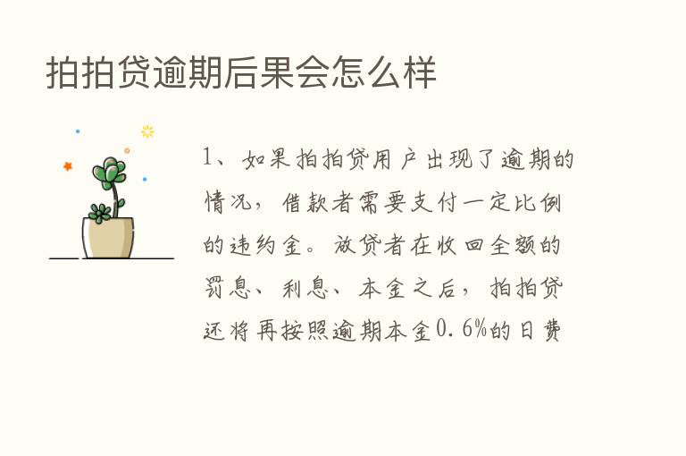 拍拍贷逾期后果会怎么样